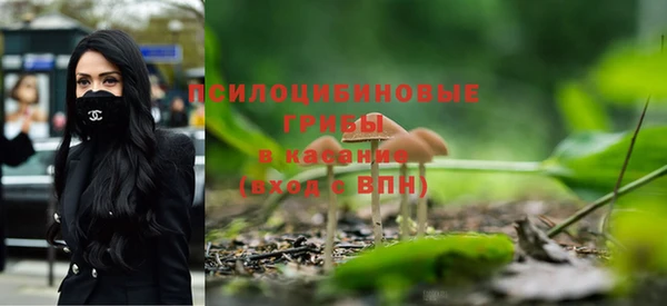 индика Балахна