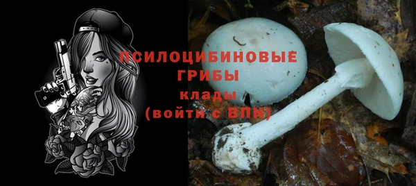 индика Балахна