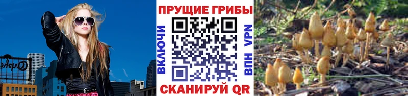 купить   Горнозаводск  Галлюциногенные грибы мухоморы 